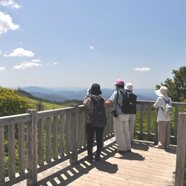 茶臼山高原 茶臼山ハイキング