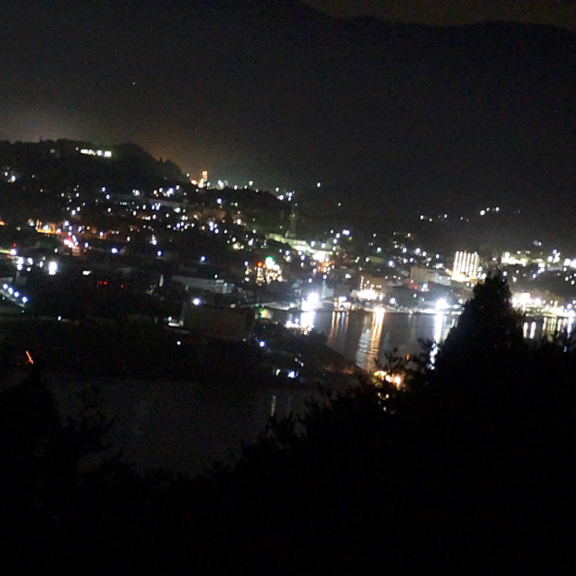 気仙沼大島　星空・夜景ツアー