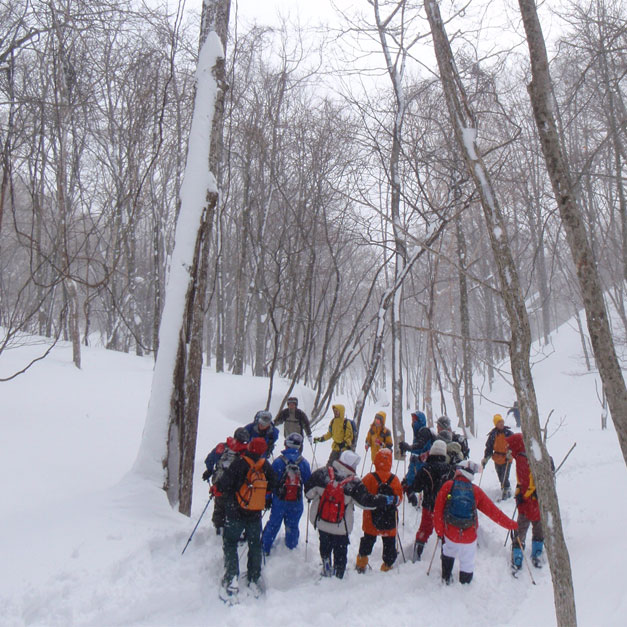 岩手網張温泉 網張の森 雪上ハイキング