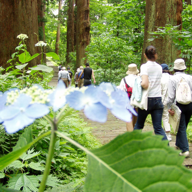 庄内羽黒 羽黒山石段ウォーキング