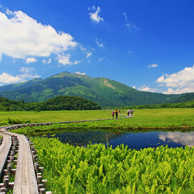 日光湯元 日本有数の高層湿原　尾瀬と戦場ヶ原を歩く