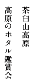 茶臼山高原 高原のホタル鑑賞会