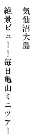 気仙沼大島 絶景ビュー！毎日亀山ミニツアー