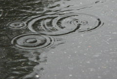 雨の日の一枚♪