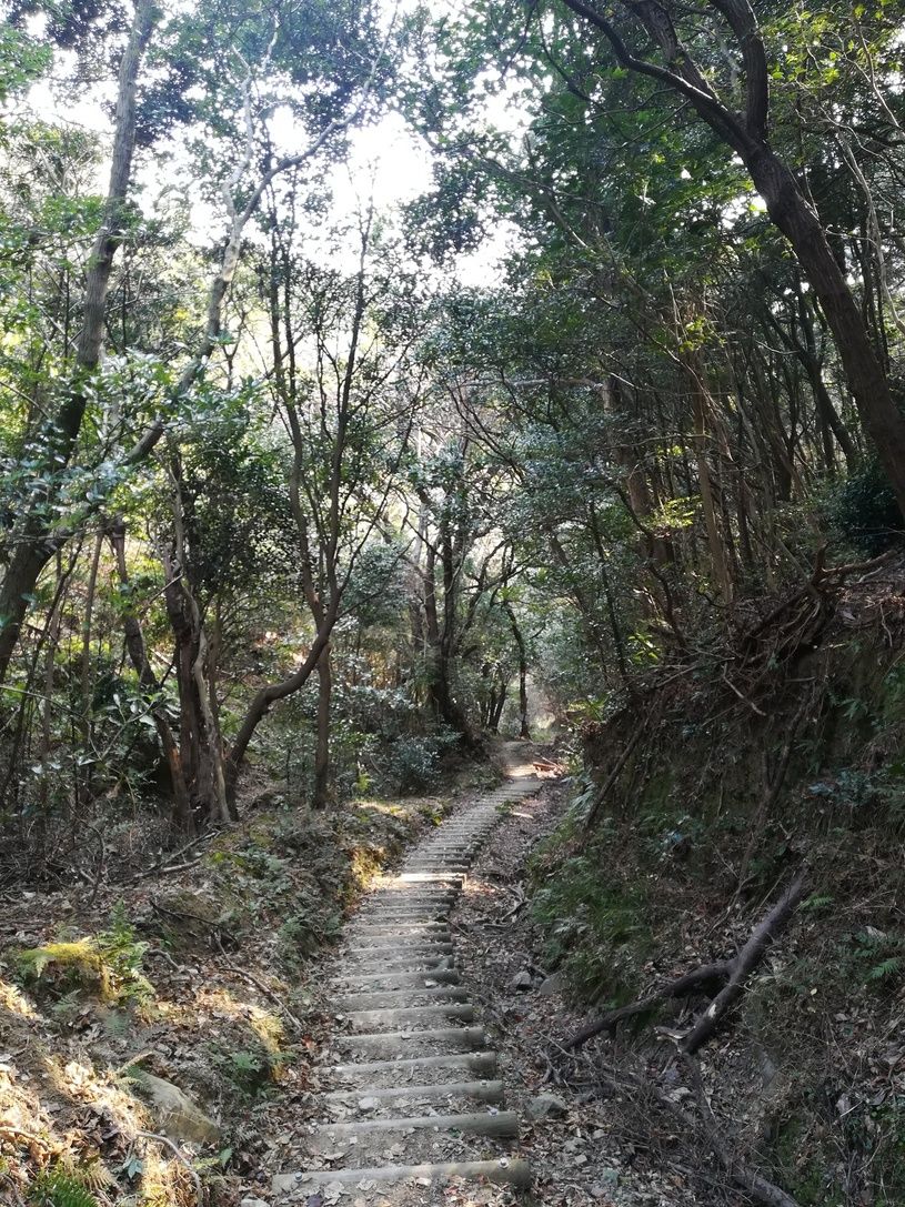 画像2