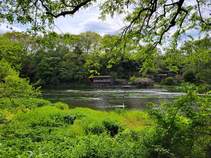 画像2